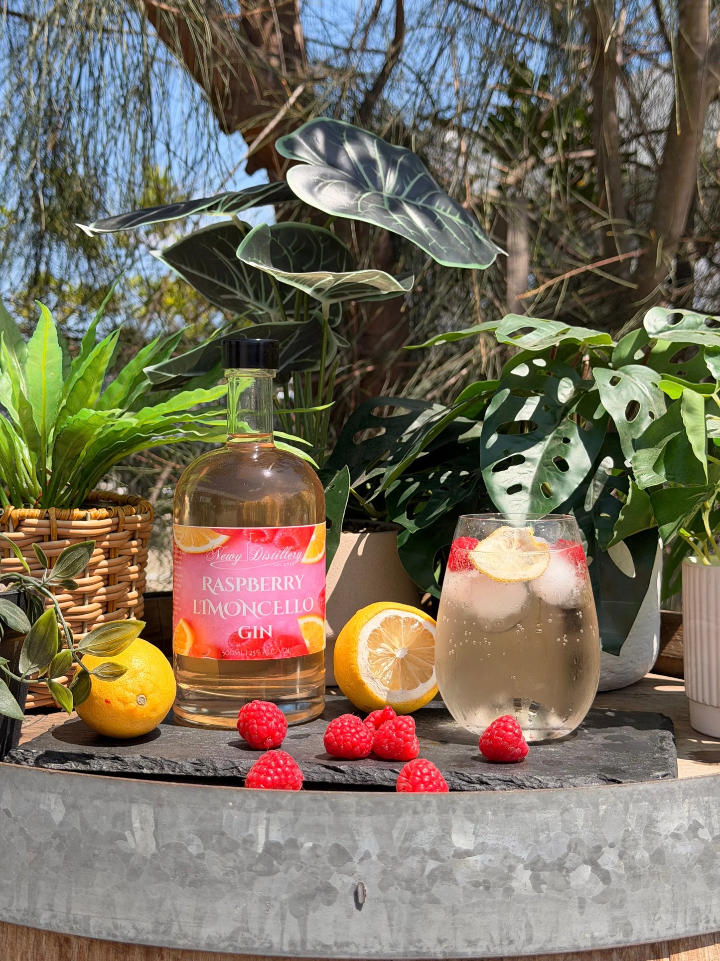Raspberry Limoncello Gin Newy Distillery
