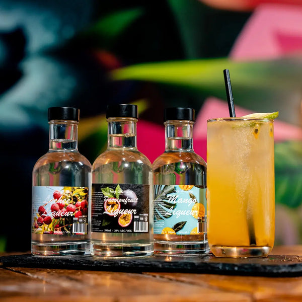 Vodka Fruit Liqueur Gift Pack Newy Distillery