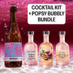 Pornstar Martini Cocktail Kit