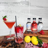 Raspberry Summer Serenade Cocktail Kit — Newy Distillery
